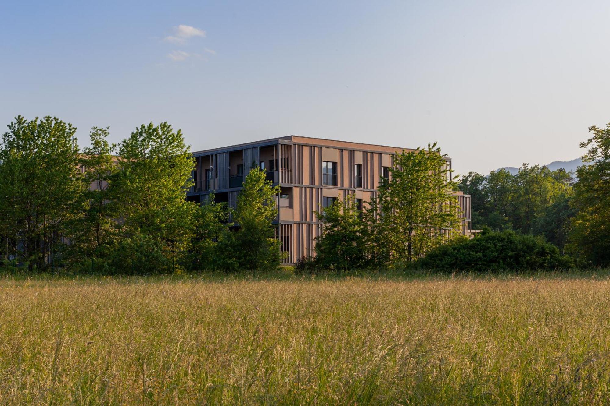 The Nest Apartment Bled Centre Экстерьер фото
